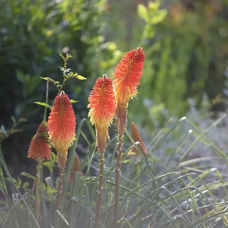 La Maison D'ulysse Small Luxury Отель Baron (Gard)