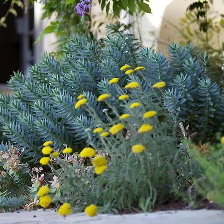 La Maison D'ulysse Small Luxury Baron (Gard)