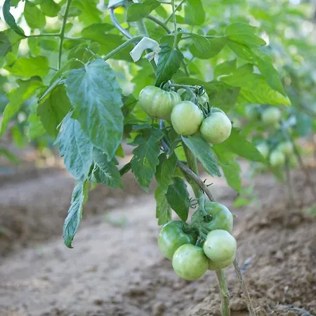 La Maison D'ulysse Small Luxury Отель 4*