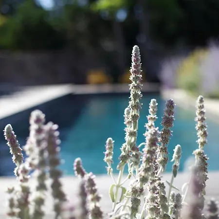 Отель La Maison D'ulysse Small Luxury