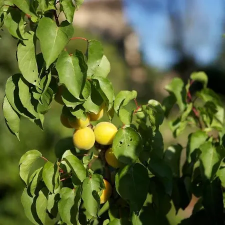 La Maison D'ulysse Small Luxury Baron (Gard)