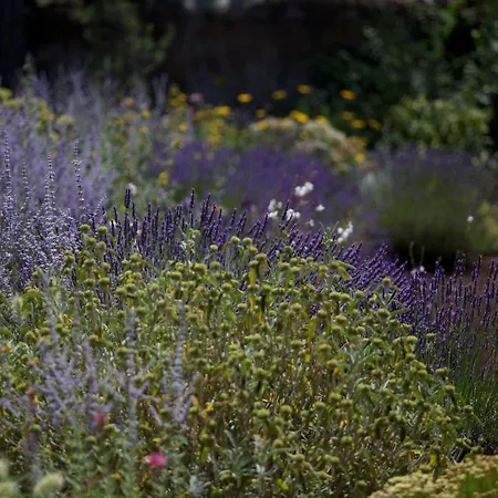 La Maison D'ulysse Small Luxury Отель