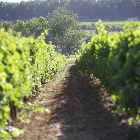 Отель La Maison D'ulysse Small Luxury 4*